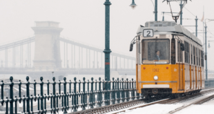 Unlimited access to public transportation throughout the city