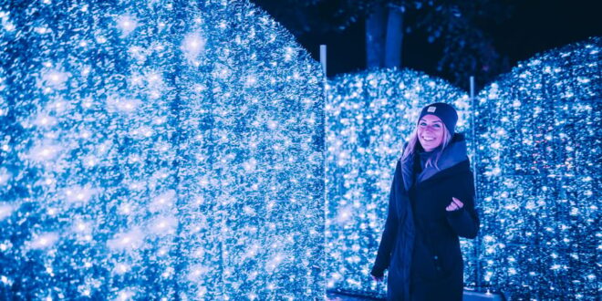 Immersive Light Installation at Lumina Park Budapest